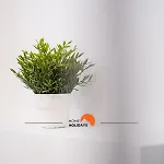 #020 Medronheira Relax & Comfort