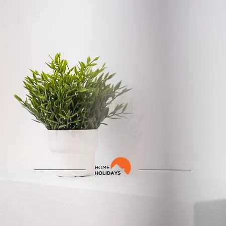 #020 Medronheira By Holidays